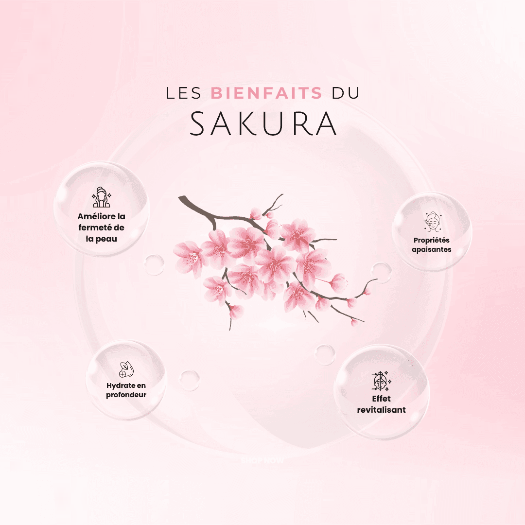 Patch pour les yeux au collagène (50 pièces) - Medulite - Japan Skincare